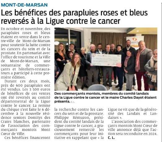 mont de Marsan parapluies roses commercants montois