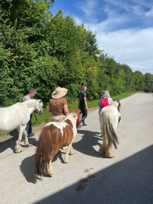 equithérapie equitherapie