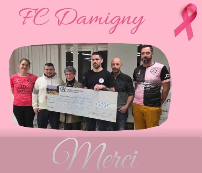 fc damigny