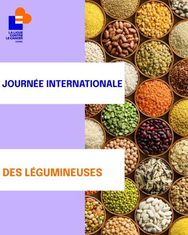 légumineuses