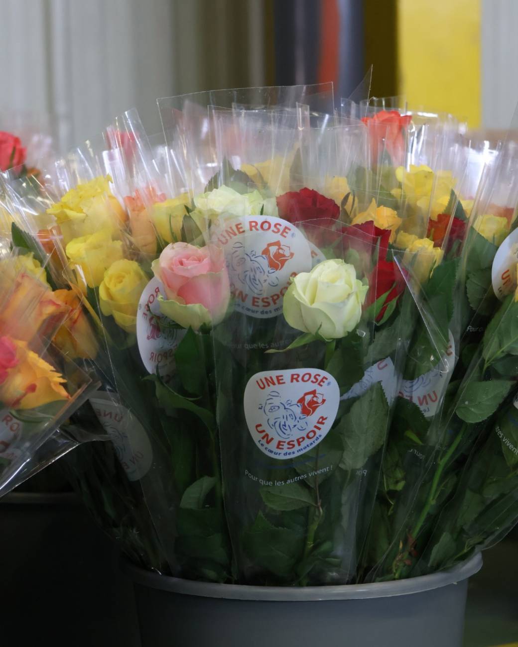 Une rose un espoir