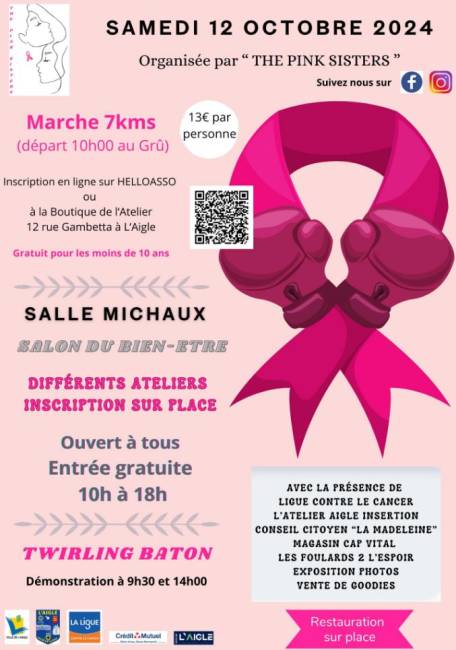 affiche- 3e edition the pink sisters
